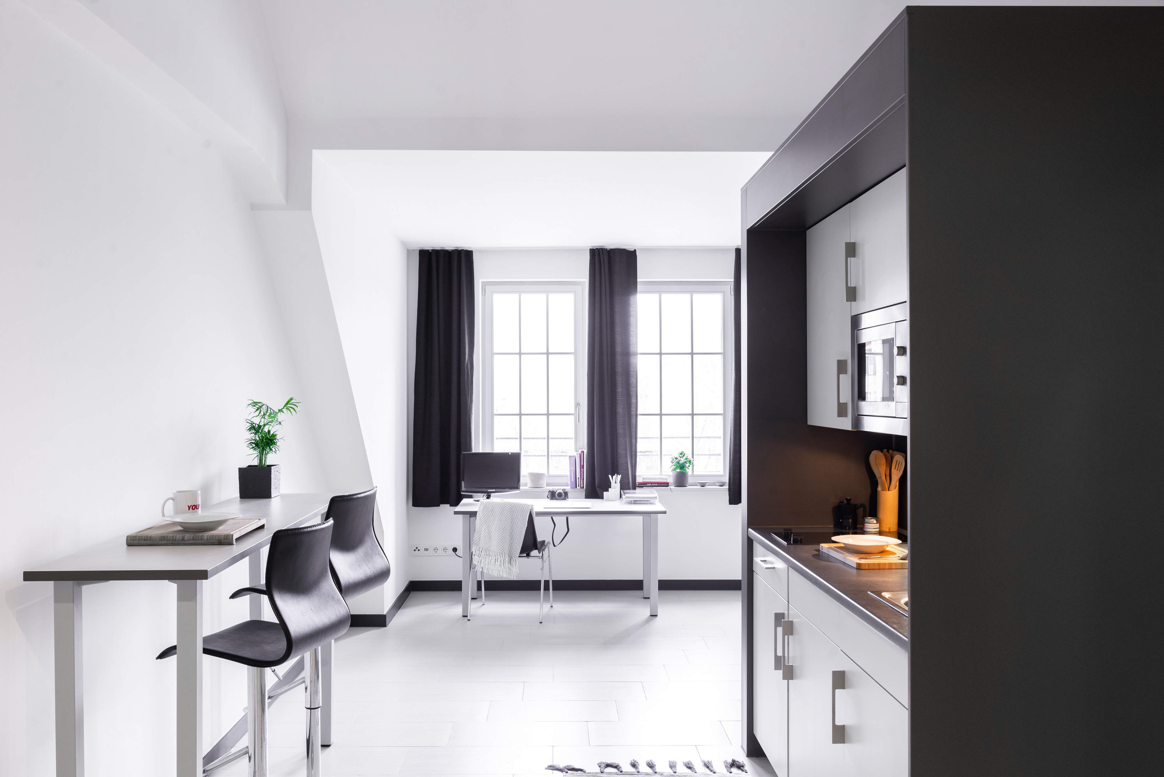 Large + - Apartment