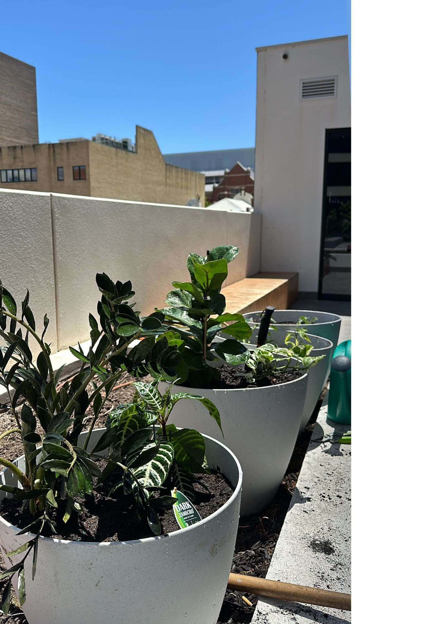 Perth City Eco Garden Workshop (8)