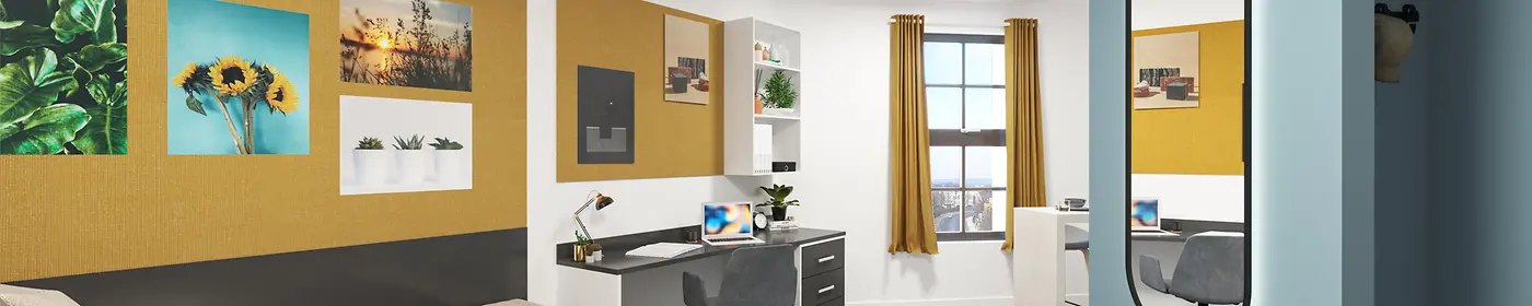 Large Premium Studio 01