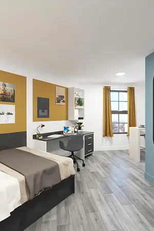 Large Premium Studio 01