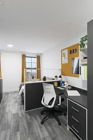 Standard Studio 01