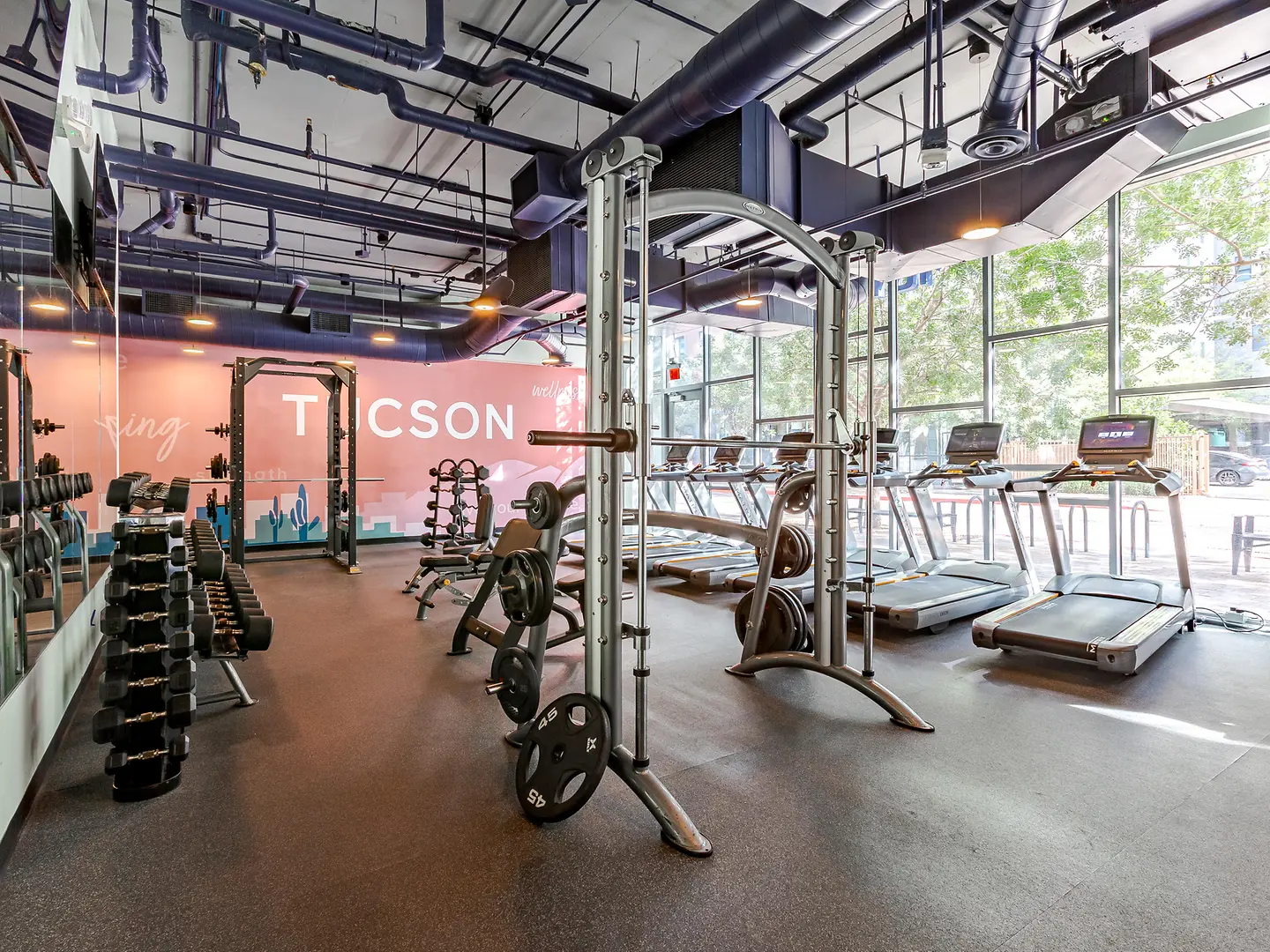 Fitness room with treadmills, dumbbells and weight-training equipment.